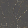 ARIS NOIR 120X120 POLI (M2) (M2)