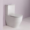 H8259620002311-PRO A WC À RÉSERVOIR BAS BLANC SANS REBORD-LAUFEN (UD)