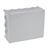 092196-PLEXO BOX 310x240x124-LEGRAND (UD)
