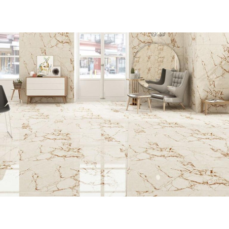 porcelanico_100052621-1.jpg