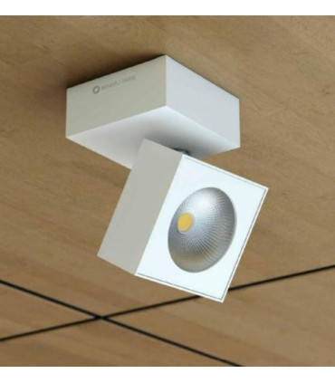 12250008241.jpg