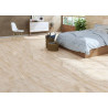 PORCELAINE SAN VICENTE 60X120 BRILLANTE (M2)