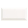 BLANC BRILLANT BISEAUTÉ 10X20 (m2)