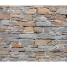 CARREAU DE PIERRE DE QUARTZITE 60X20 (M2)