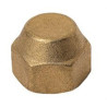 9020-043-1/2" ÉCROU AVEUGLE POUR TUYAU - VECAMCO (UD)