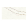 EVO BRILLO 60X120 (M2) (M2)