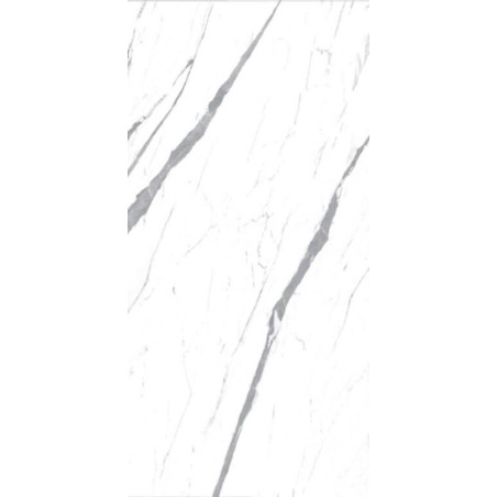 porcelanico_100052615-2.jpg